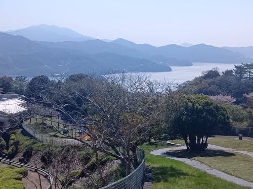 松軒山公園から御荘湾を望む