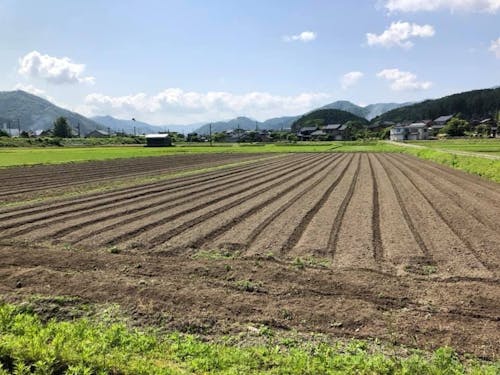 気持ちの良い風景