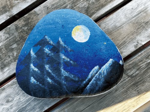 水質日本一の仁淀川の石で作る、ストーンアートのワークショップ✨