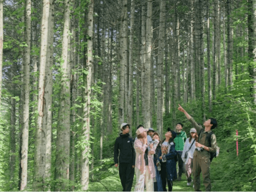 しもかわ観光協会