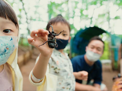 ムシムシランド