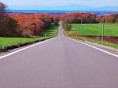 むかわ町には山も海も川もあり、北海道らしい雄大な景色が広がります