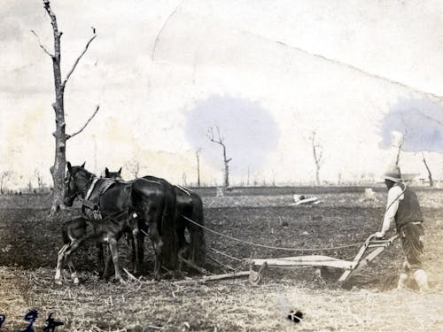 開拓当時の農作業の様子 ※別海町郷土資料館所蔵