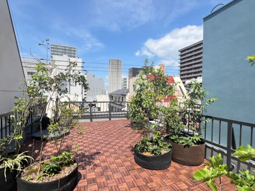 ゲストハウス屋上の緑化