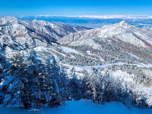 山ノ内町は上信越高原国立公園の中心にあり、日本有数のスノーリゾート