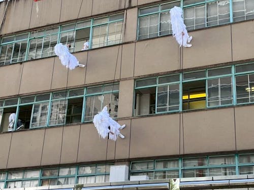 ストレンジシード静岡2025の様子1