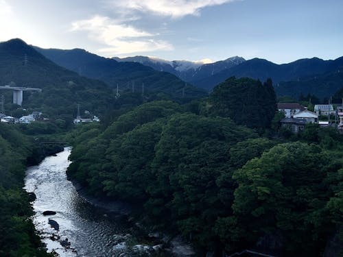 水上の夕暮れ。緑が濃厚な季節です。