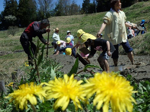 地元の園児も保全活動に参加