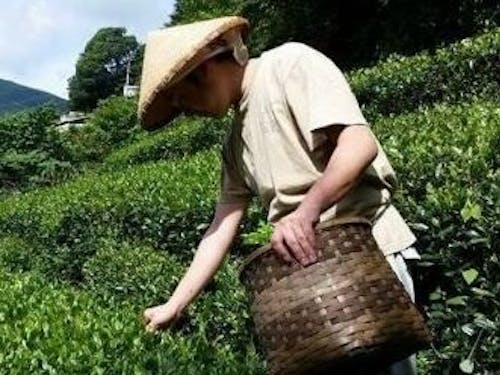 和田 将之さん(34歳)