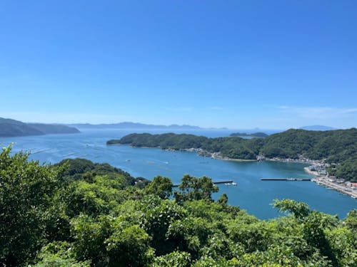 太平洋に面した美しい愛南町の町が舞台です