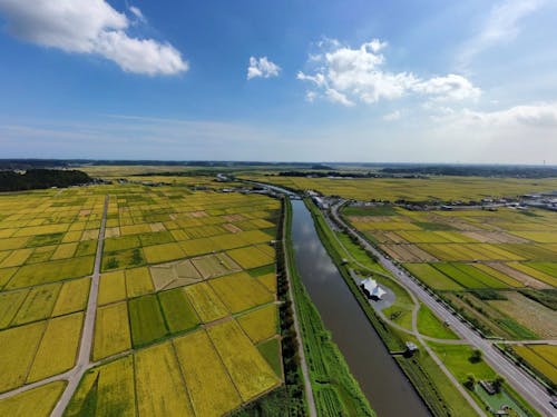多古町の田園と栗山川