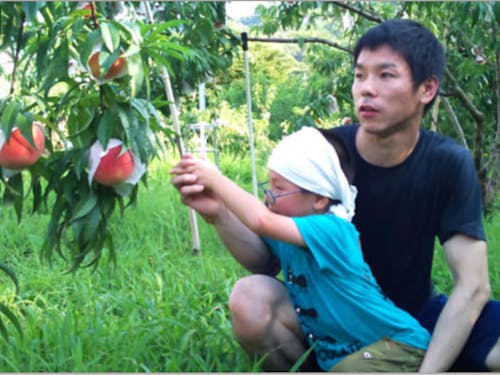 目指せ！自然栽培の桃の挑戦！