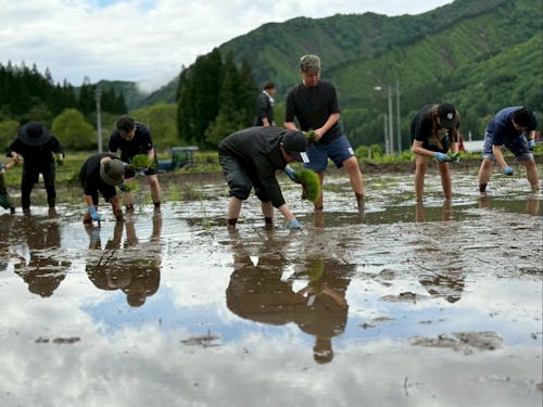 手植えイベントをおこなっています