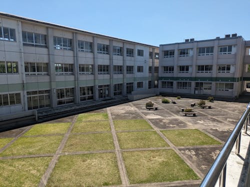 緑が広がる中庭が魅力的!