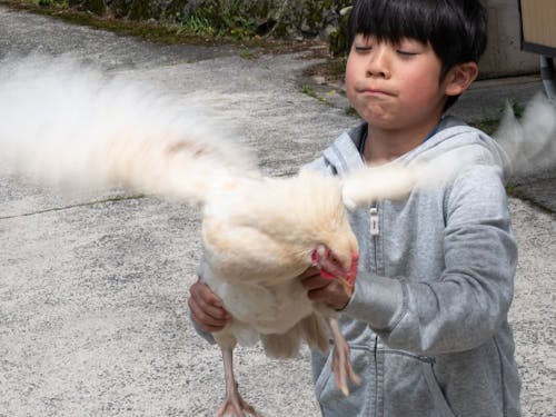 鶏が子どもたちの遊び相手にもなってくれます。抱っこしたりおいかけっこしたり(笑)