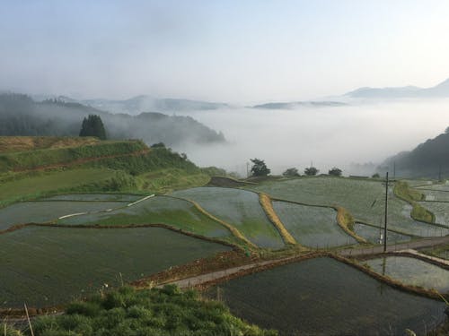 美しい田園風景が広がります♪