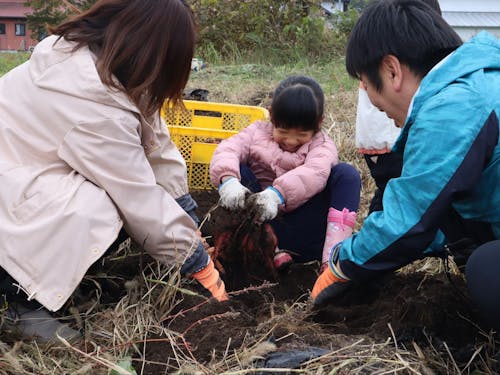移住者交流会の様子。みんなでさつまいも掘り競争や