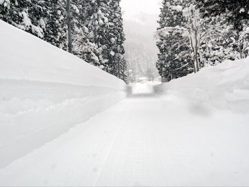 町の冬期間の様子