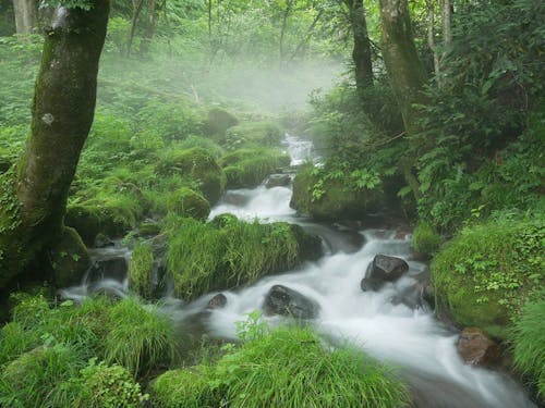 CMの影響もあり、観光客で溢れる木谷沢渓流