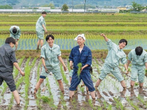 柏木農業高校の全校田植え大会の様子