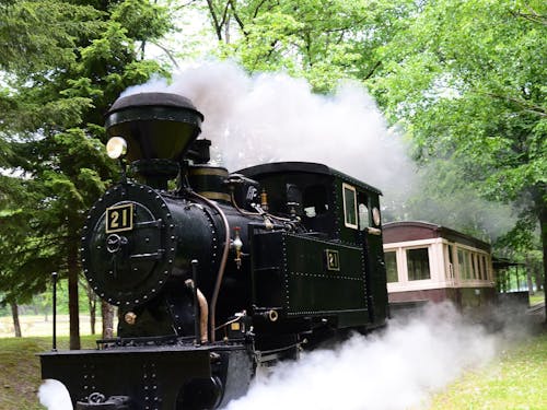 国内唯一の動く森林鉄道蒸気機関車「雨宮21号」