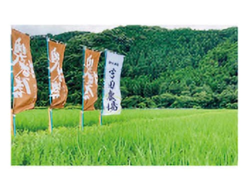 吉田さんが管理する田んぼの様子。現在は市内の田んぼを100枚ほど管理。