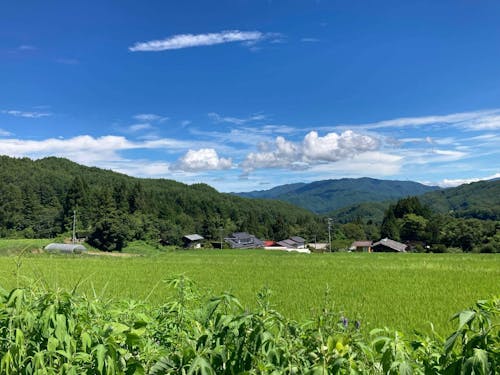 空も広くて、山も美しくのぞめます🏔
