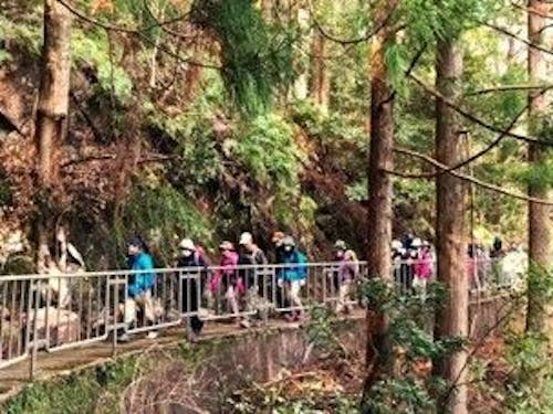 【11月開催】山歩きで自然体験コース