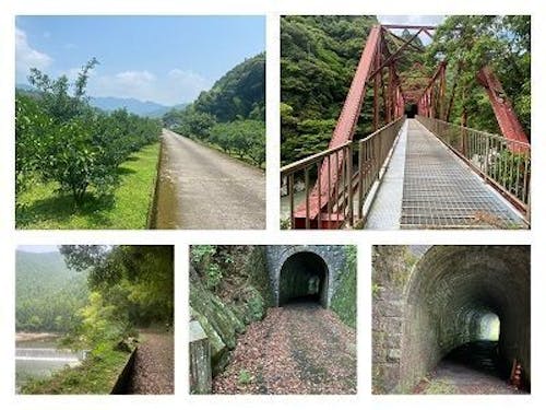 清流安田川に沿って続く「ゆずロード」 いくつもの隧道を通り抜けます!