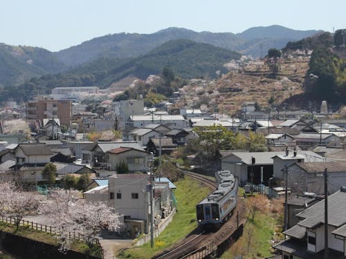 面積の約7割が森林資源の佐川町