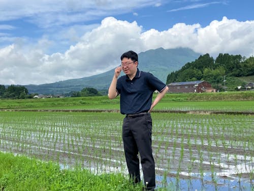 田植え後の田んぼ
