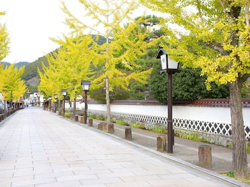 津和野町の町並み