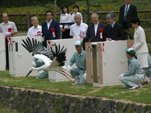 2005年の放鳥式典