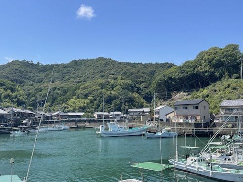 港町に並ぶ家々