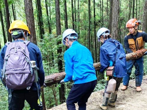 昨年のインターン風景:丸太を持ってみた!