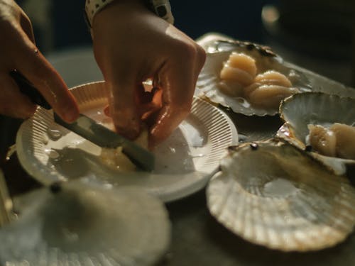 生活を彩る海の幸