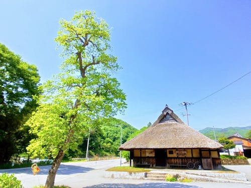 東草野地域の風景
