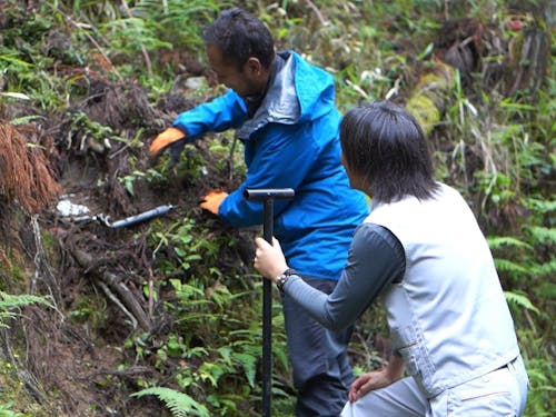 くくり罠の効果的なかけ方