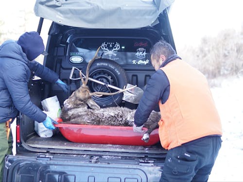 運搬から解体方法