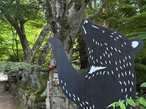 参道にはあちこちに切り絵が✨