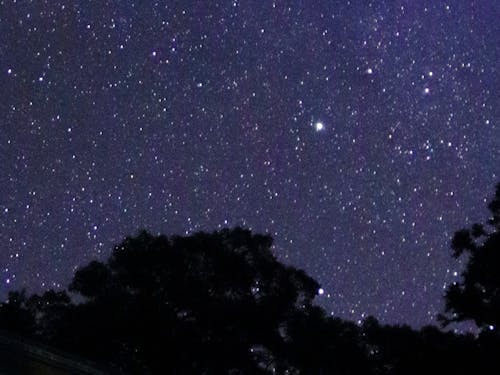 狭野神社の星空