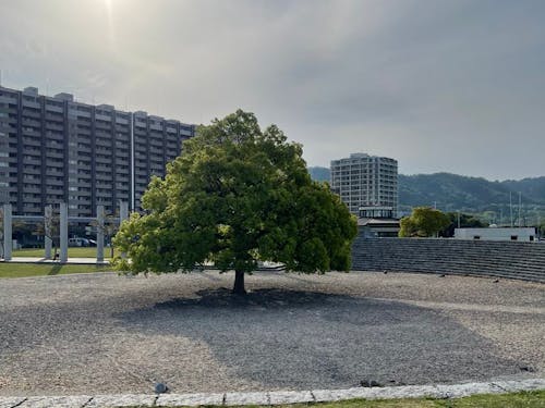 「ここに帰ってくるとホッとする」家族の時間が流れる暮らしの拠点