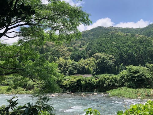 組合の事務所の目の前には安田川が流れています