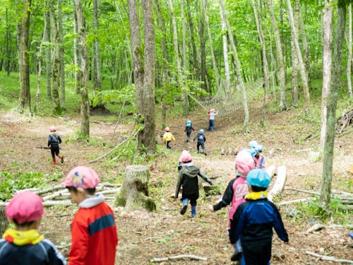 園舎裏のかしわの森
