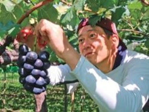 清水大輔(しみず だいすけ)さん