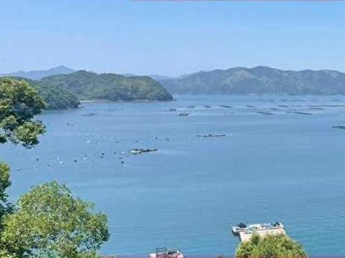 美しい野見湾