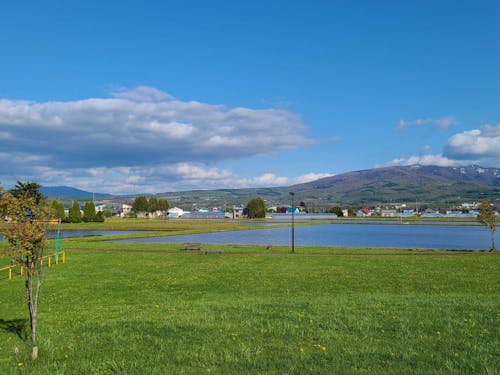 公園と稲田と音江連山