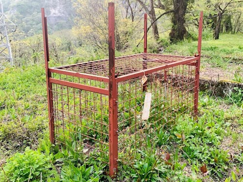 山に仕掛けてある箱縄