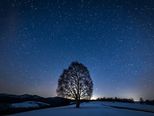 （星の降る里あしべつ）