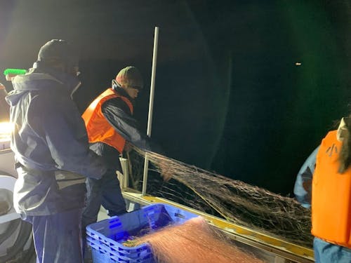 実際の漁の様子